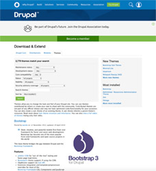 Drupal Themes
